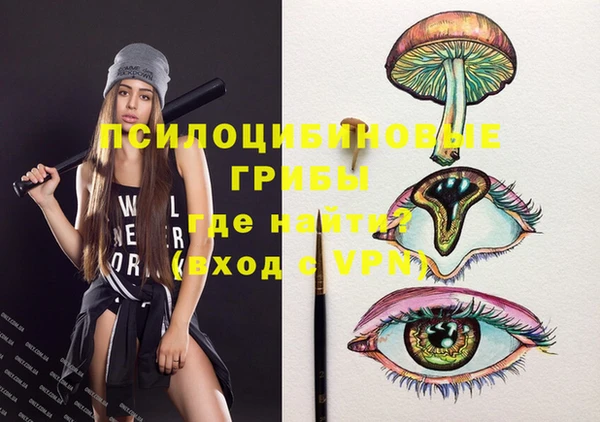 гашик Нея