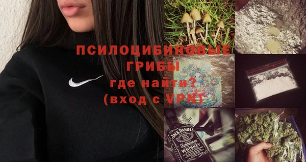 гашик Нея